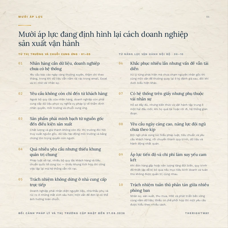 Trang 6/24 · Hồ sơ năng lực TheRightWay 2026